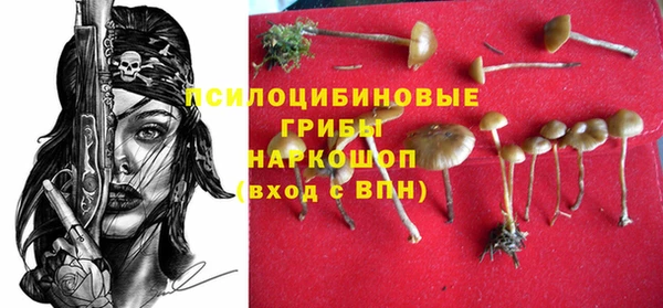 бутират Покачи