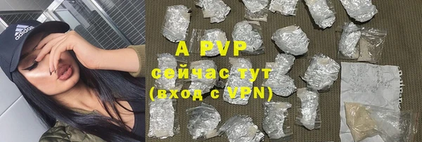 круглые Пересвет